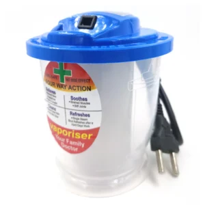 electric steamer